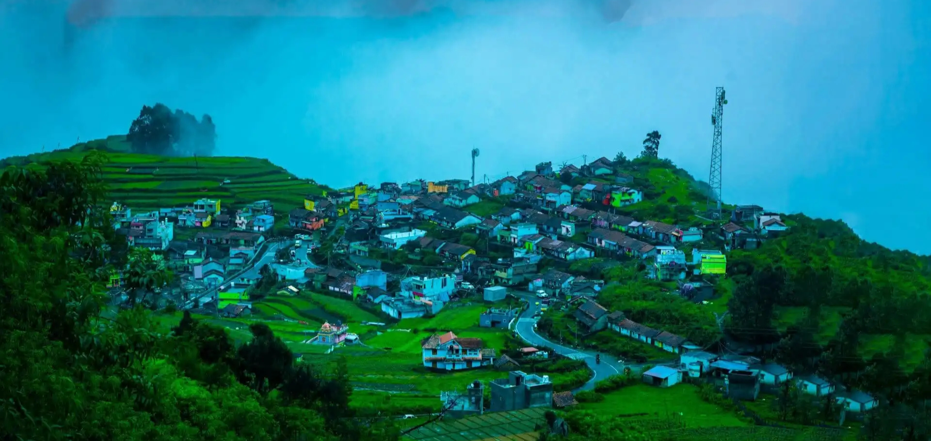 Kodaikanal hill station with mist and pine trees